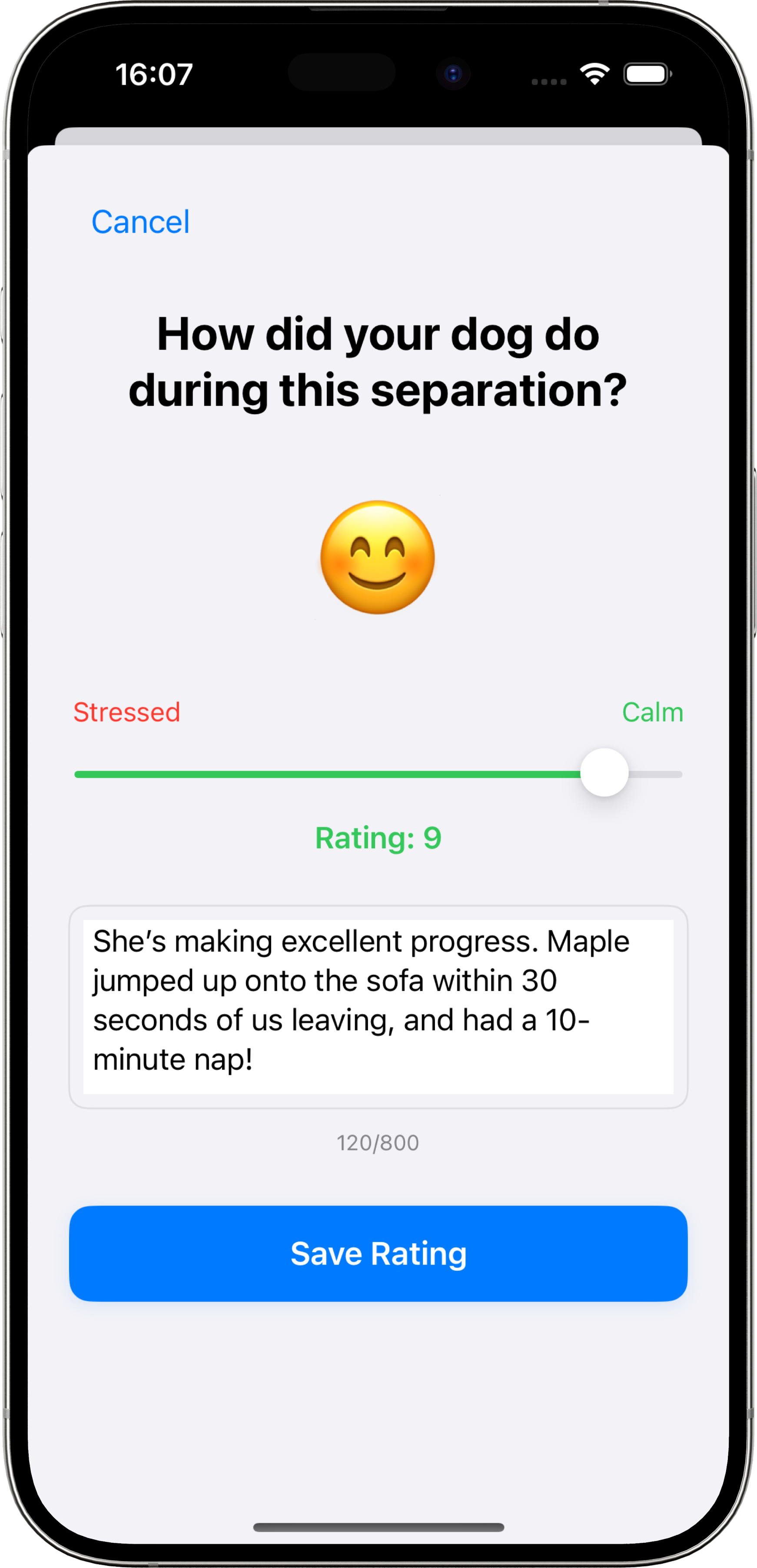 Rating your dog's progress after each session